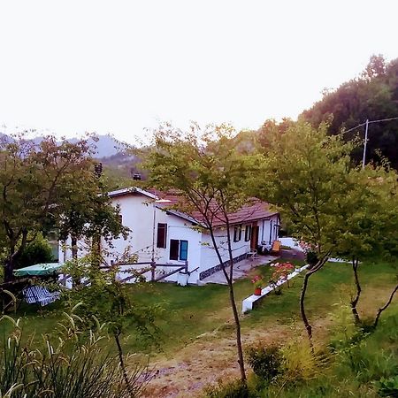 B&B La Casa Del Daino 밀레시모 외부 사진